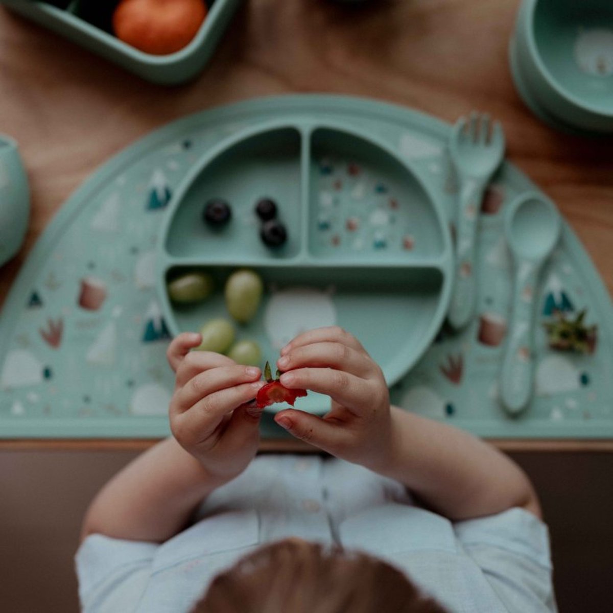 Assiette compartimentée en silicone avec ventouse ANIMAUX ANIMAUX menthe, SASSI