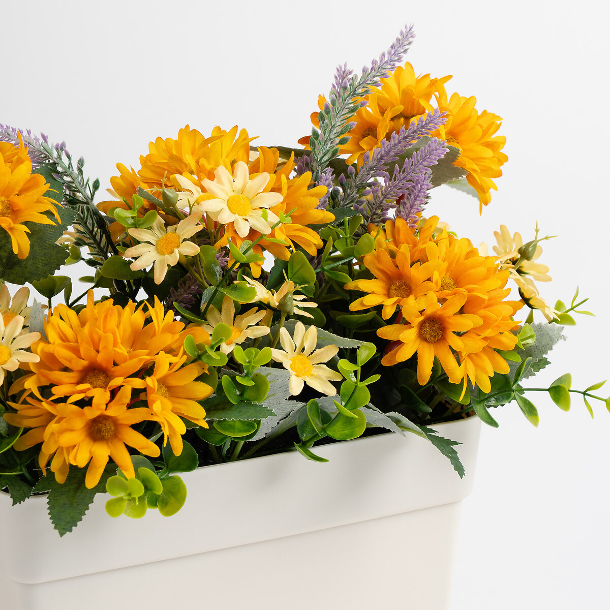 Orange & Yellow Daisy in UV Trough Planter orange, SO'HOME