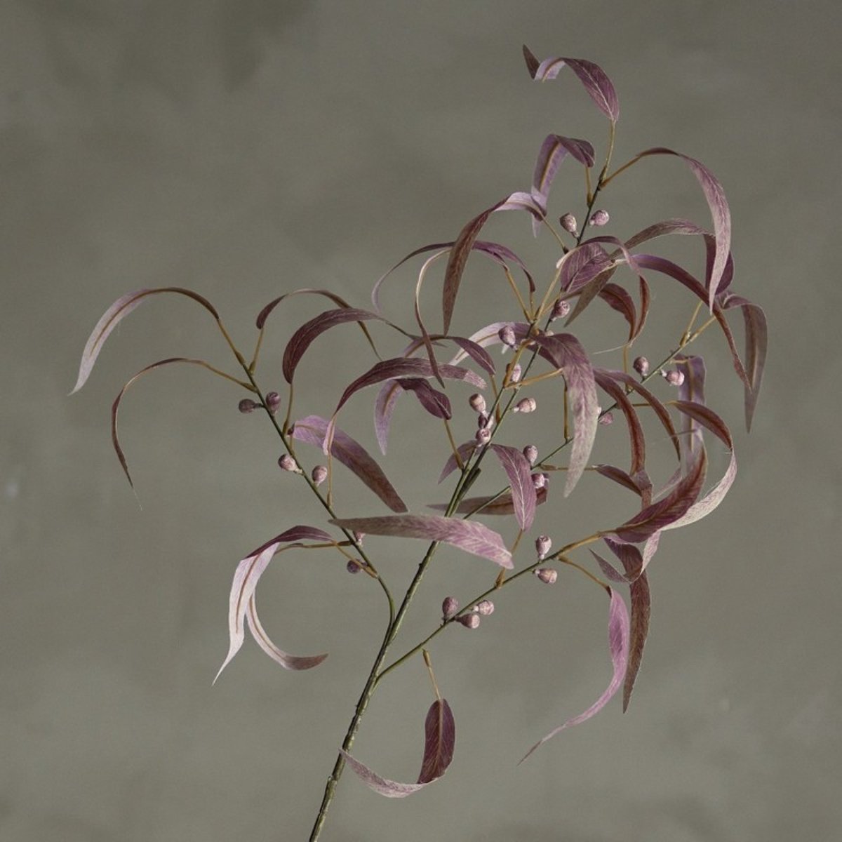 Branche d'eucalyptus artificiel rouge, BLOOMINGVILLE