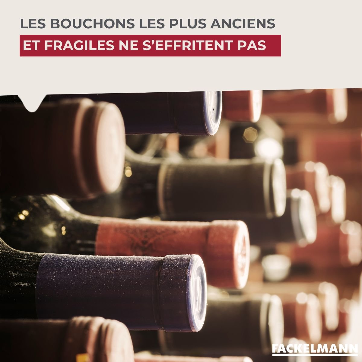 Tire-bouchon à feuille BAR CONCEPT gris,noir, FACKELMANN