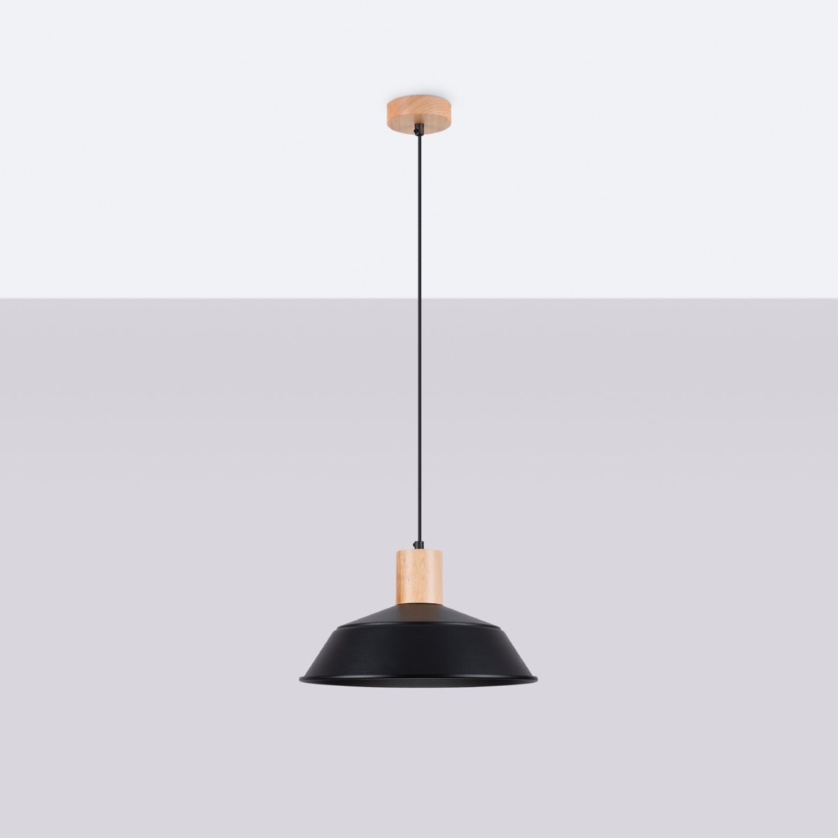 Suspension Acier Noir E27 1 Fano noir, EDEN