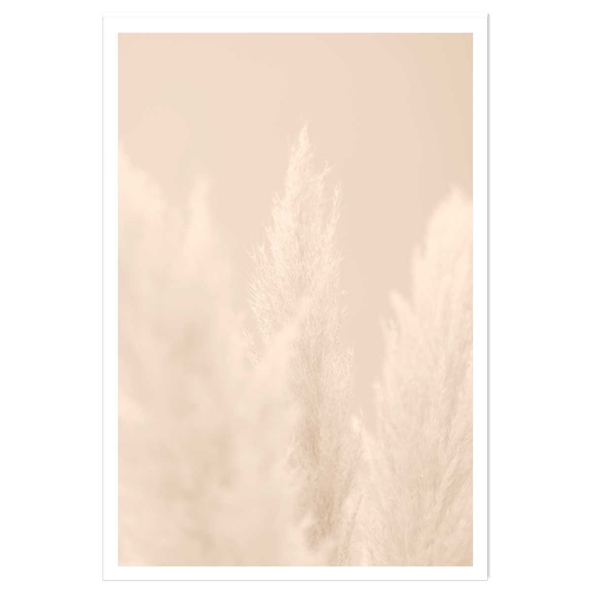 Affiche scandi de roseaux affiche seule, HEXOA