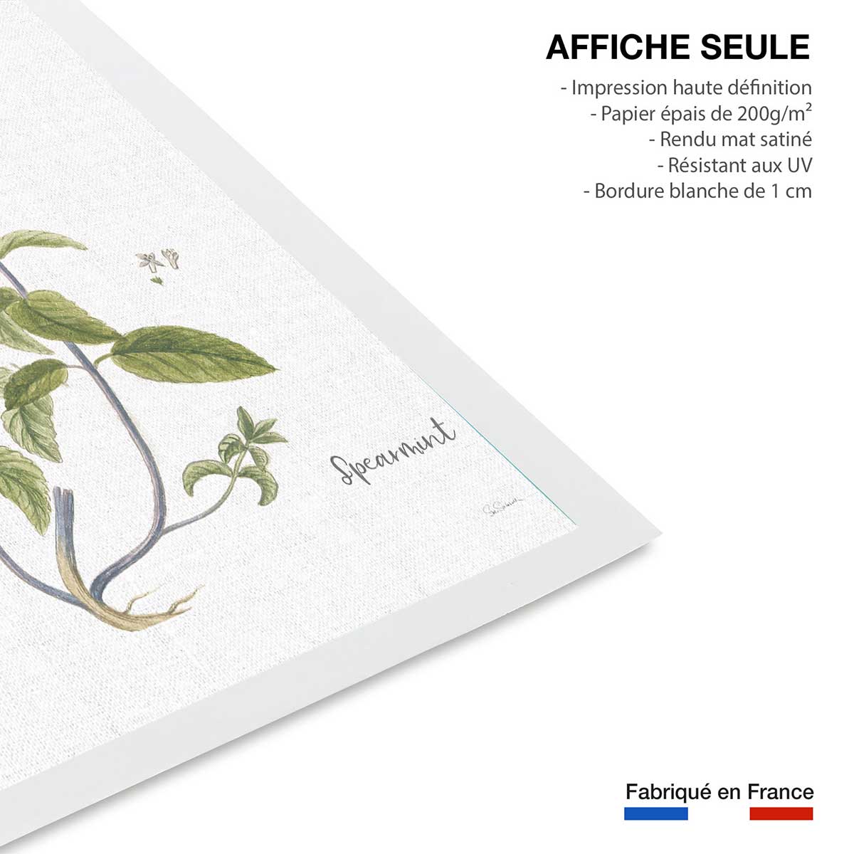 Affiche fleurs Menthe verte illustrée affiche seule, HEXOA