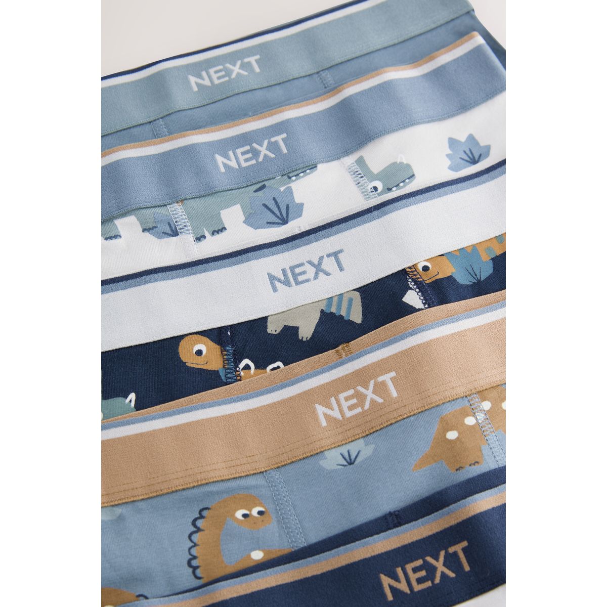 Boxer, lot de 5 dino bleu/marron, NEXT