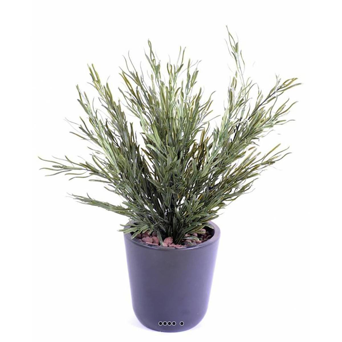 Podocarpus artificiel en piquet v002239, ARTIFICIELLES