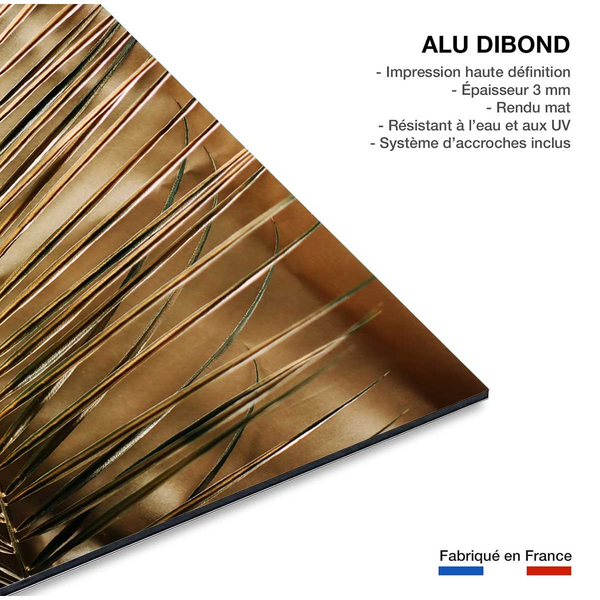 Tableau golden palm tableau alu dibond, HEXOA