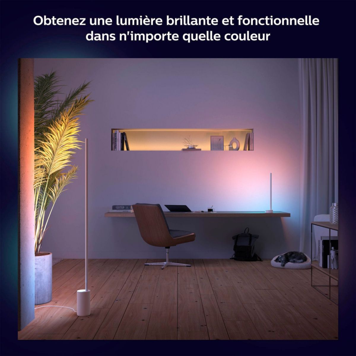 Lampe connectée Gradient Signe blanc White&Color Ambianc blanc, PHILIPS HUE