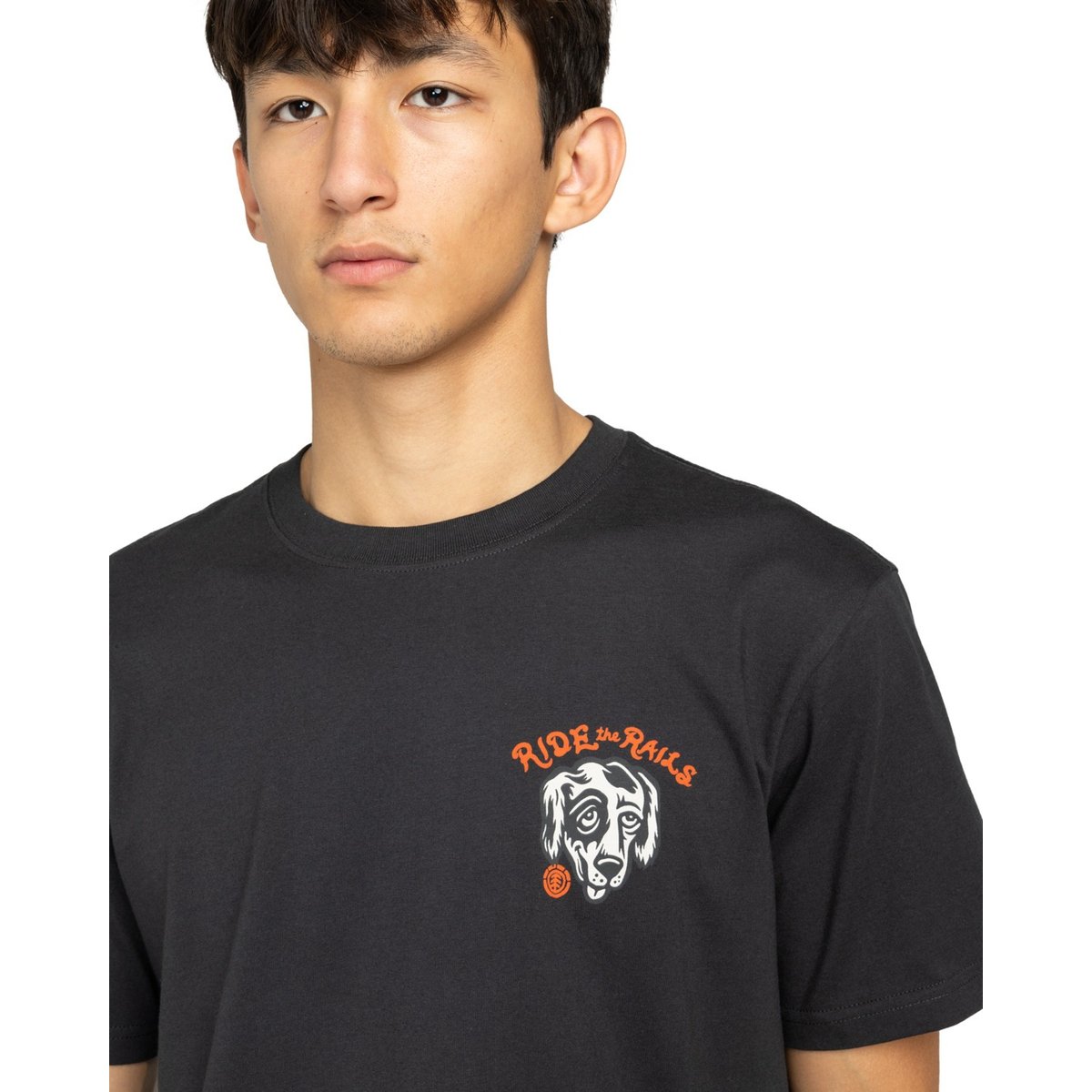 T-shirt à manches courtes TIMBER HOBOS noir off black, ELEMENT