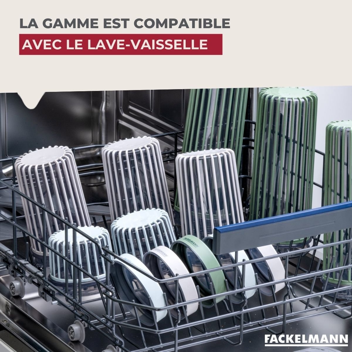 Boite à Provisions 0,5 Litre STORAGE transparent,bleu, FACKELMANN