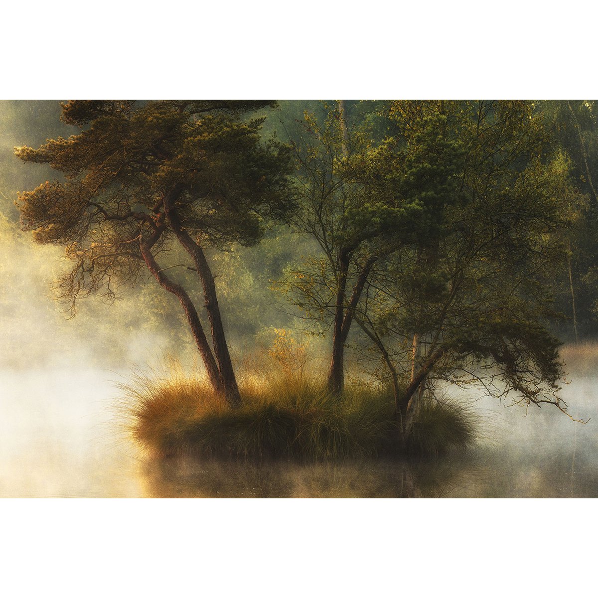 Tableau Ilôt d'automne tableau alu dibond, HEXOA
