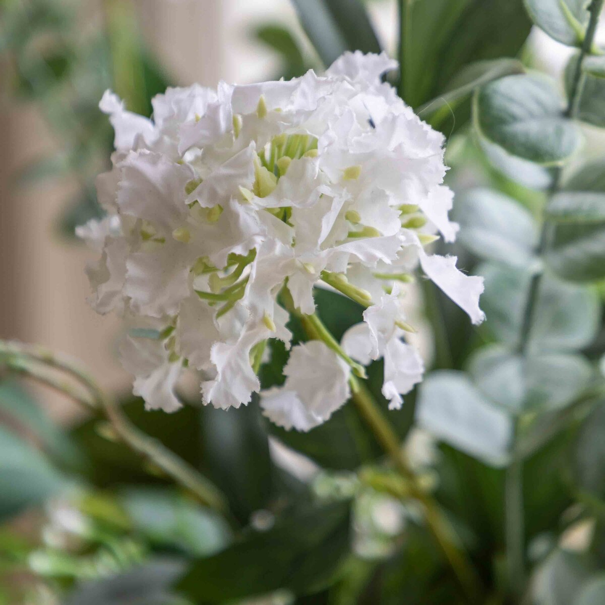 Mixed Eucalyptus & Floral Vase Arrangement green, ÉDITÉ