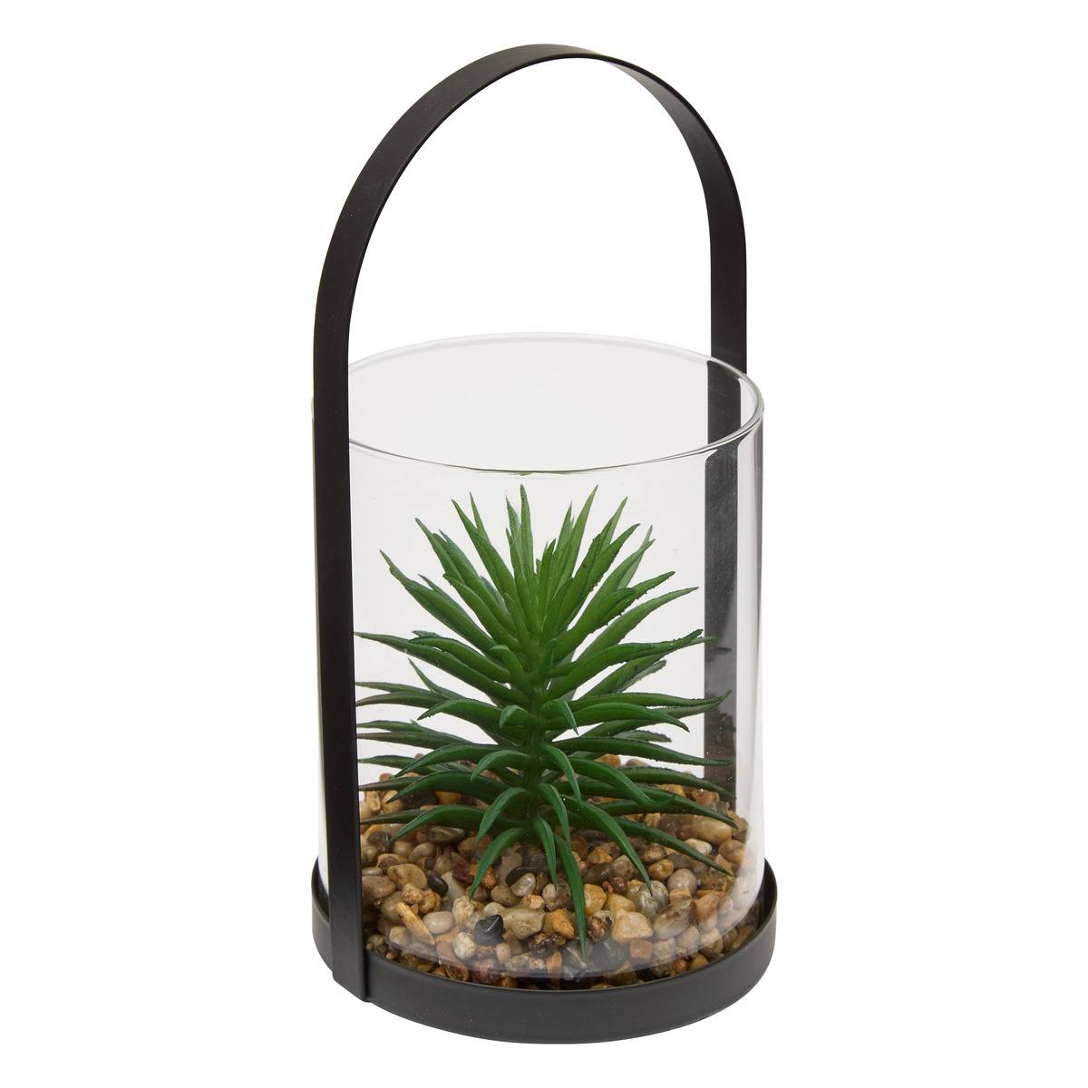 Terrarium WILO vert trèfle, ATMOSPHERA