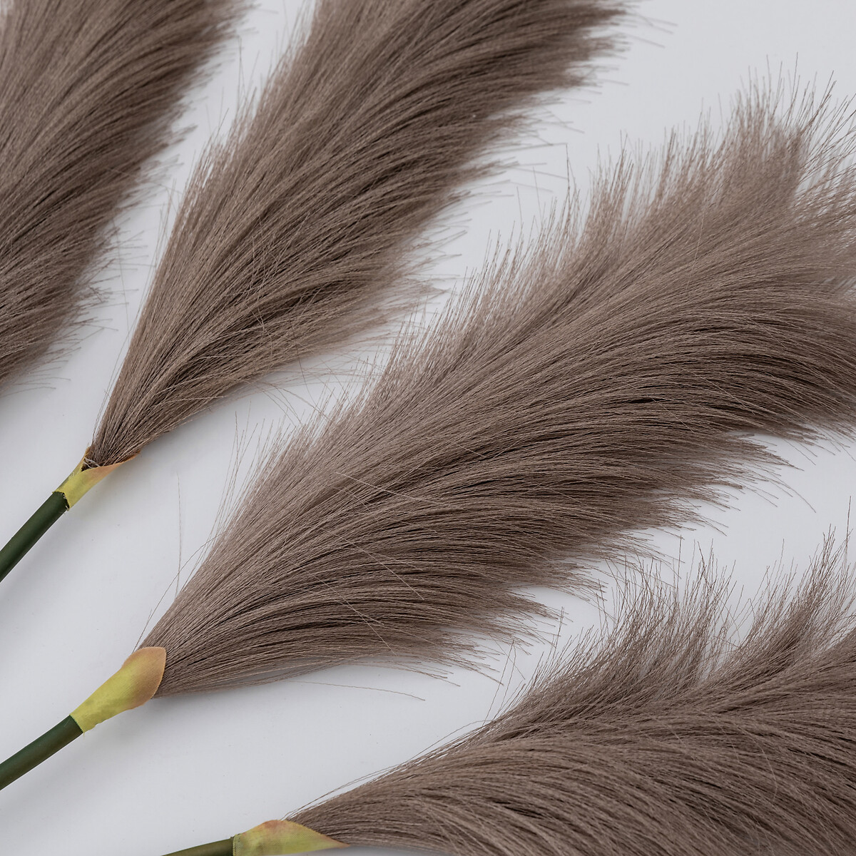 Pack of 5 72cm Artificial Goma Soft Feather Stem brown , ÉDITÉ