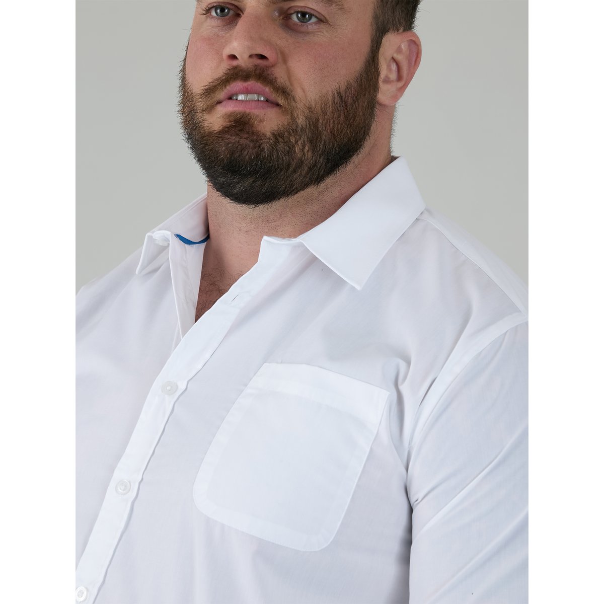 Chemise unie manches longues grande taille AIDEN blanc, DUKE