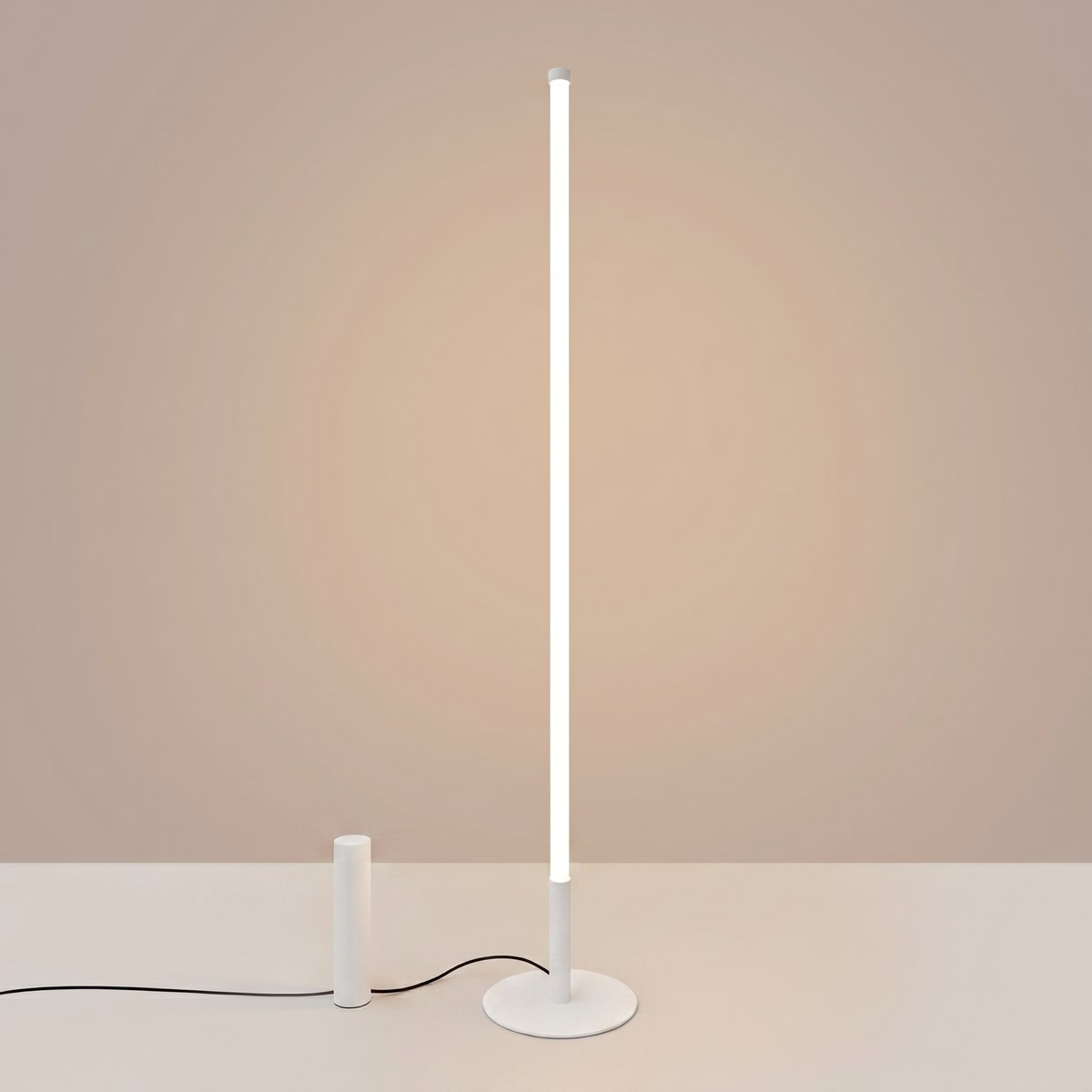 Lampadaire Blanc LED 1 Trang blanc, EDEN
