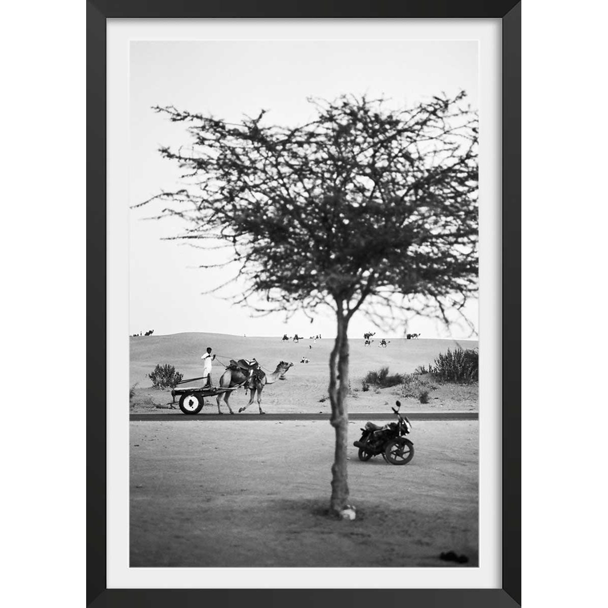Poster photo paysage ""jaisalmer, rajasthan"" affiche + cadre en bois - noir, HEXOA