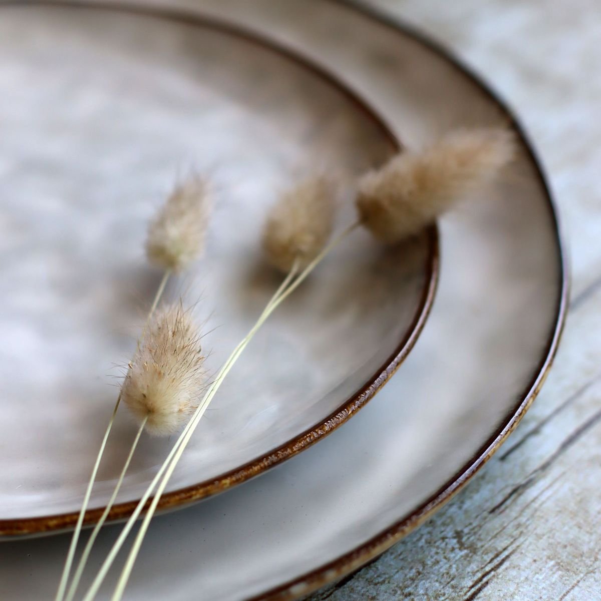 Lot de 6 assiettes plates en grès 27,5cm, BORAL beige, OGO LIVING