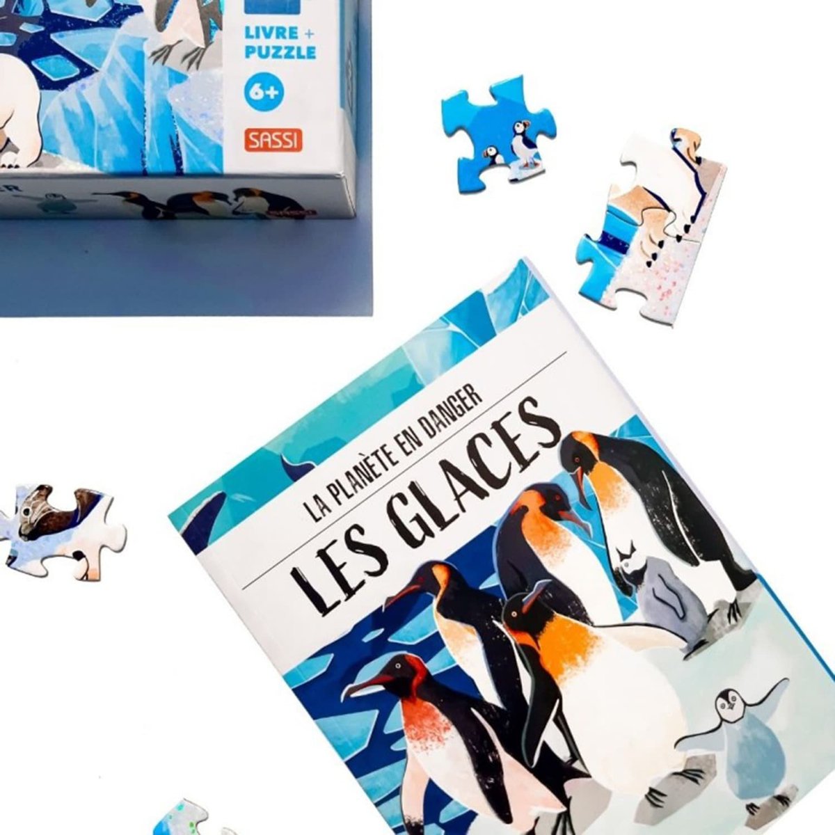 Puzzle & Livre - La Planète en Danger, Les glaces multicolore, SASSI