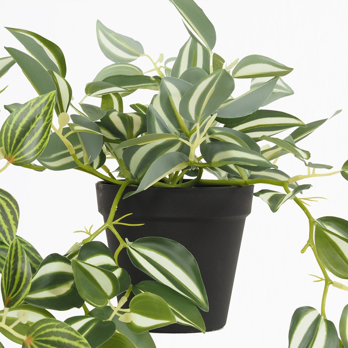 Plante verte artificielle tombante 50cm lot de 3 vert, LIGNE DECO