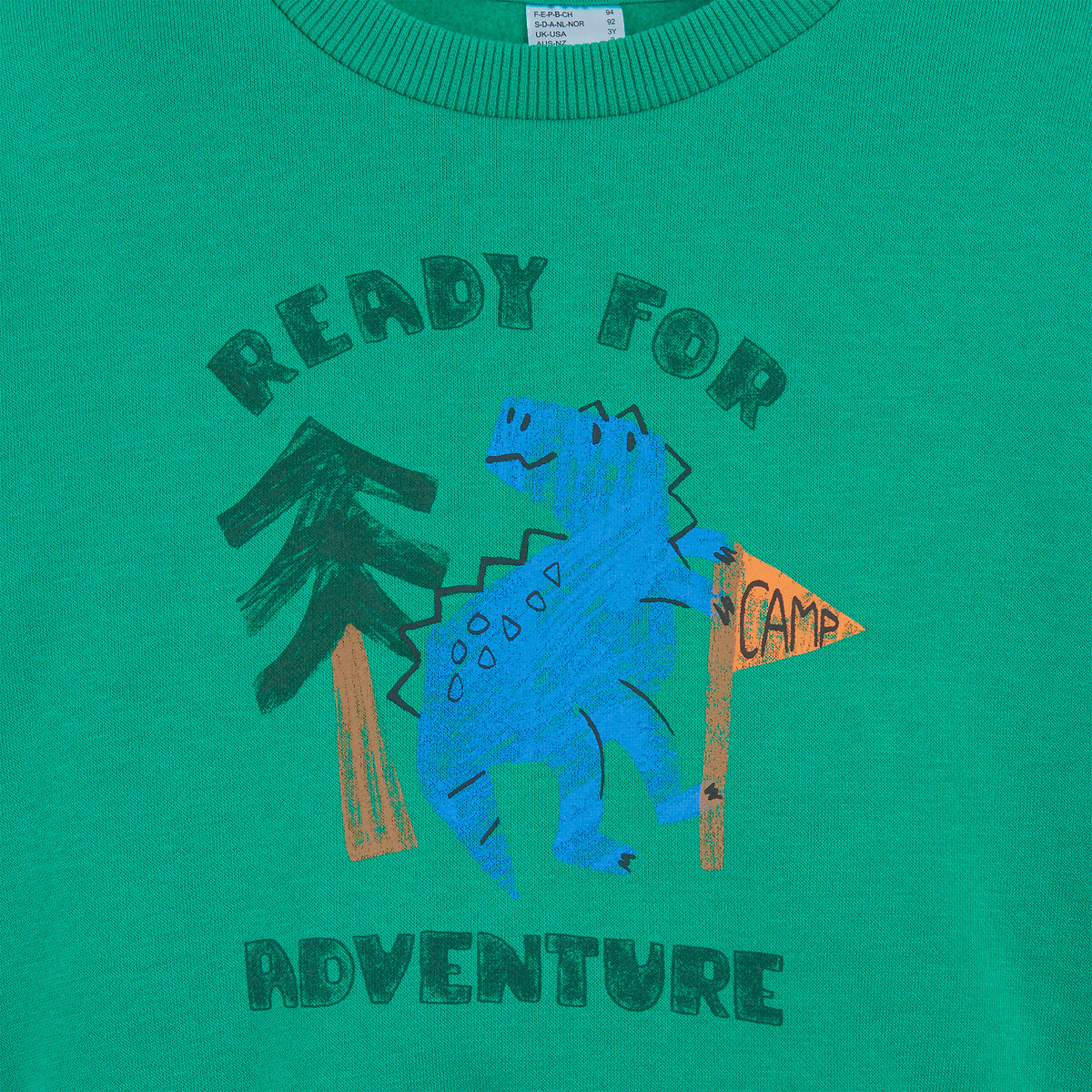 Sweater met ronde hals, dinosaurusprint, molton groen , LA REDOUTE COLLECTIONS