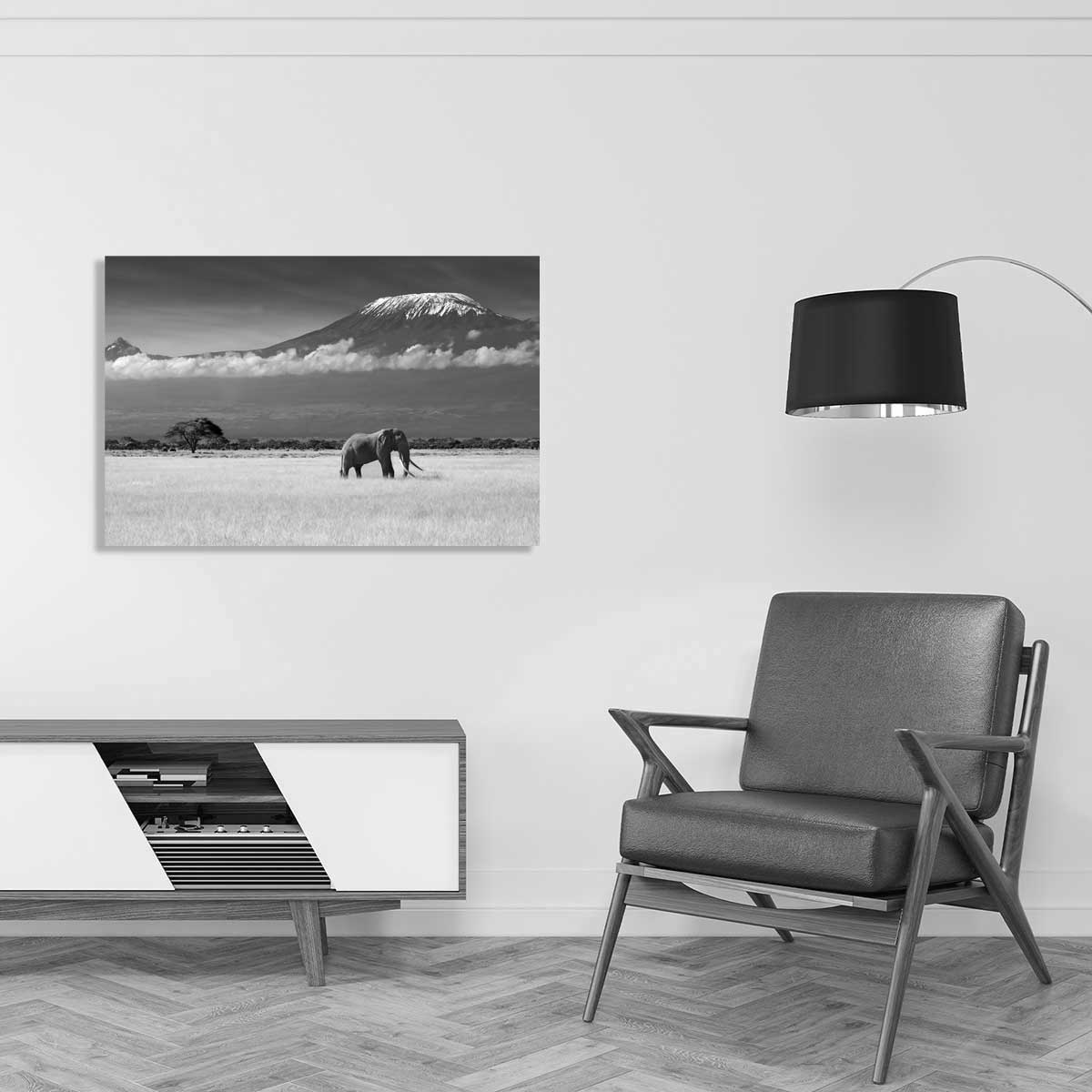 Tableau elephant et kilimanjaro tableau alu dibond, HEXOA