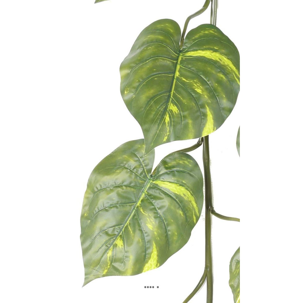Guirlande géante de pothos artificiel H 180 v002239, ARTIFICIELLES