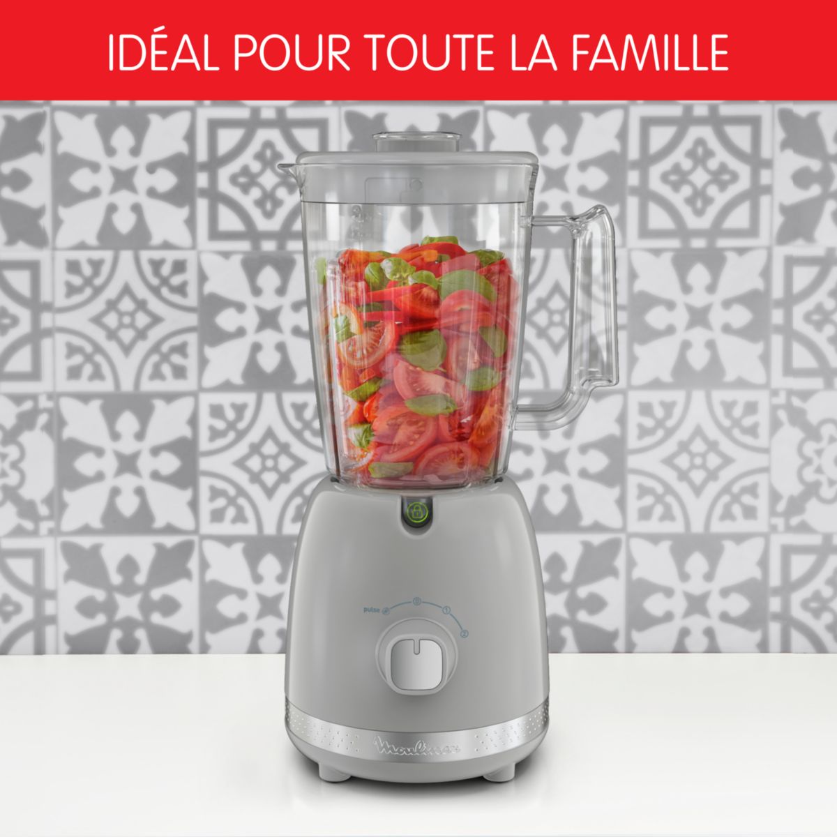 Blender soleil pepper LM355E10 gris, MOULINEX