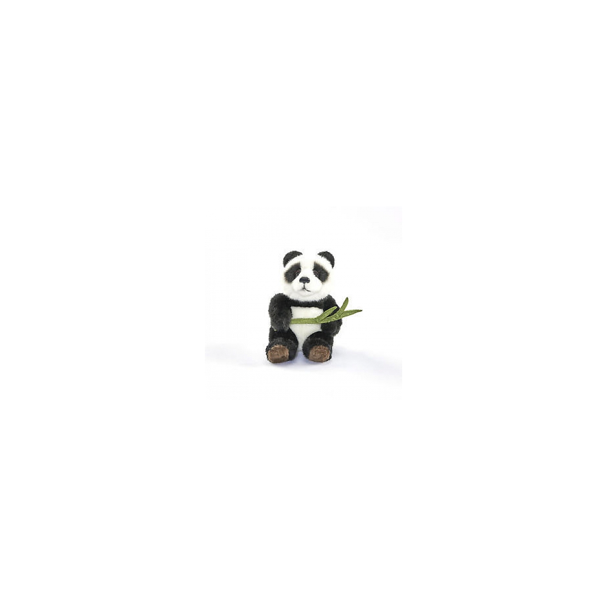 Panda couleur unique, ANIMA