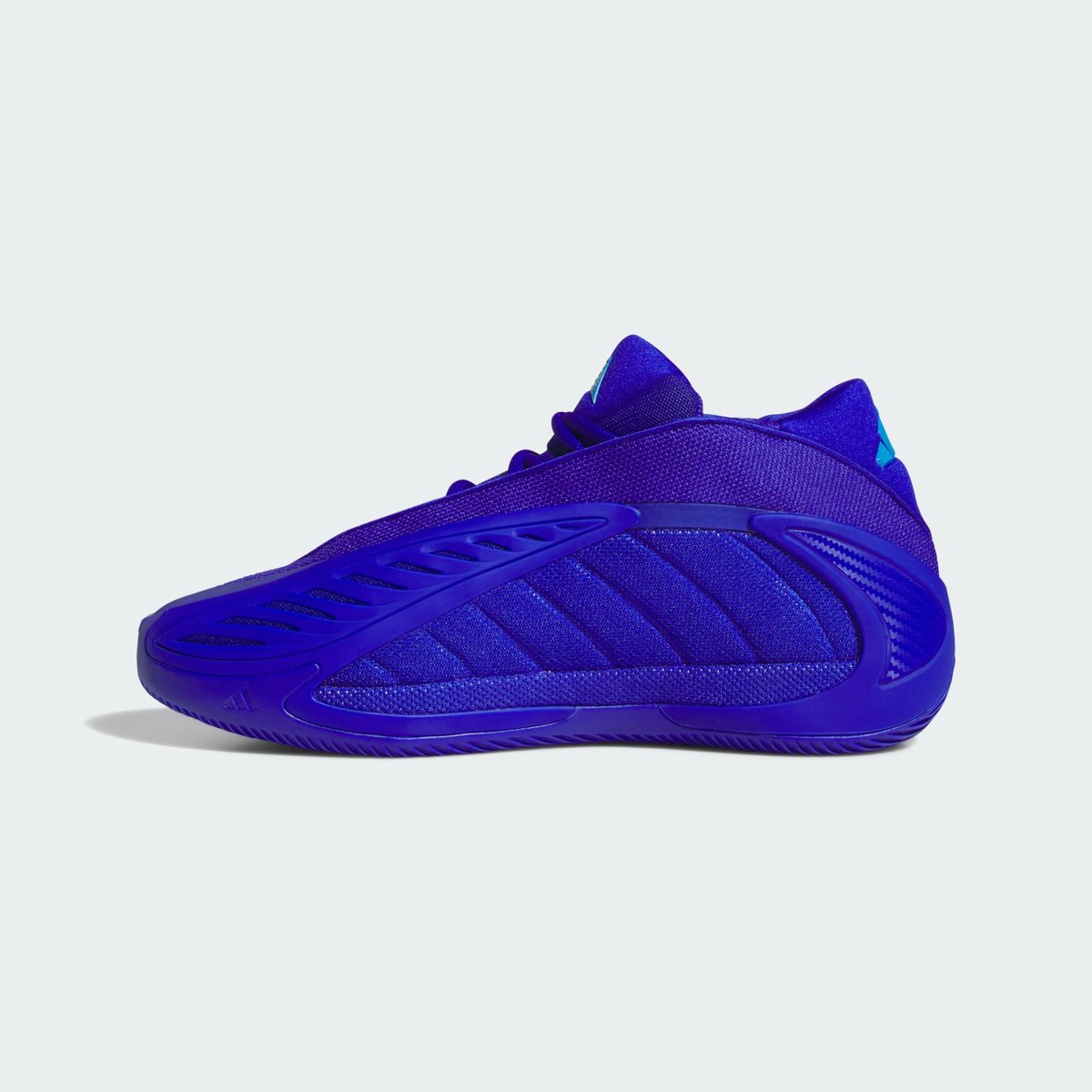 Chaussure Anthony Edwards 2 Chaussure Anthony Edwards 2 lucid blue / lucid ray blue / lucid blue, adidas Performance