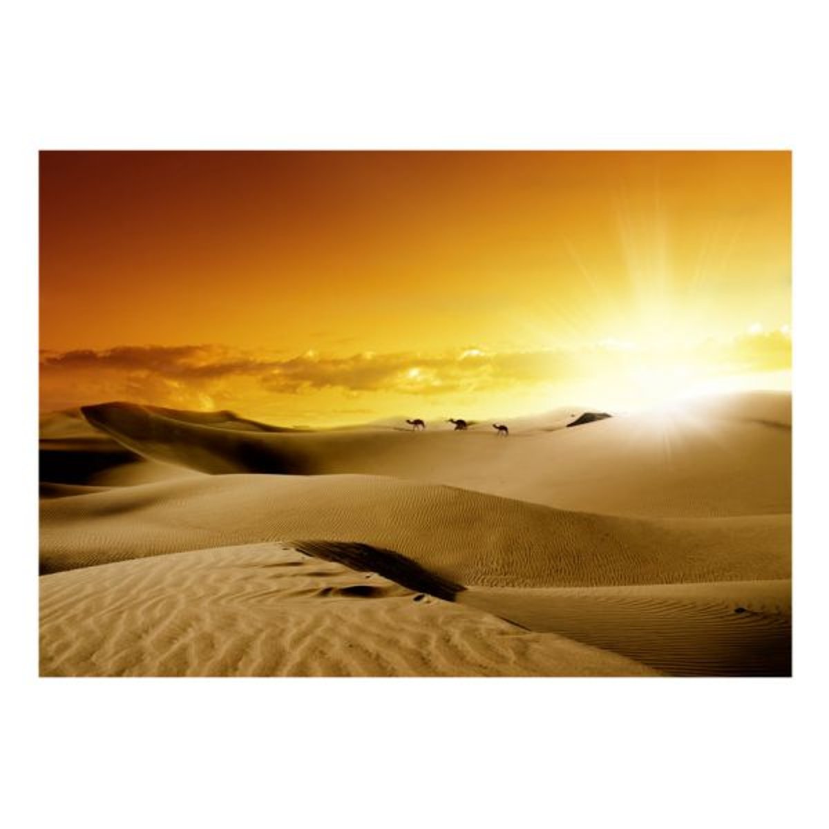 Papier peint intissé panoramique Paysage March of camels beige, EDEN