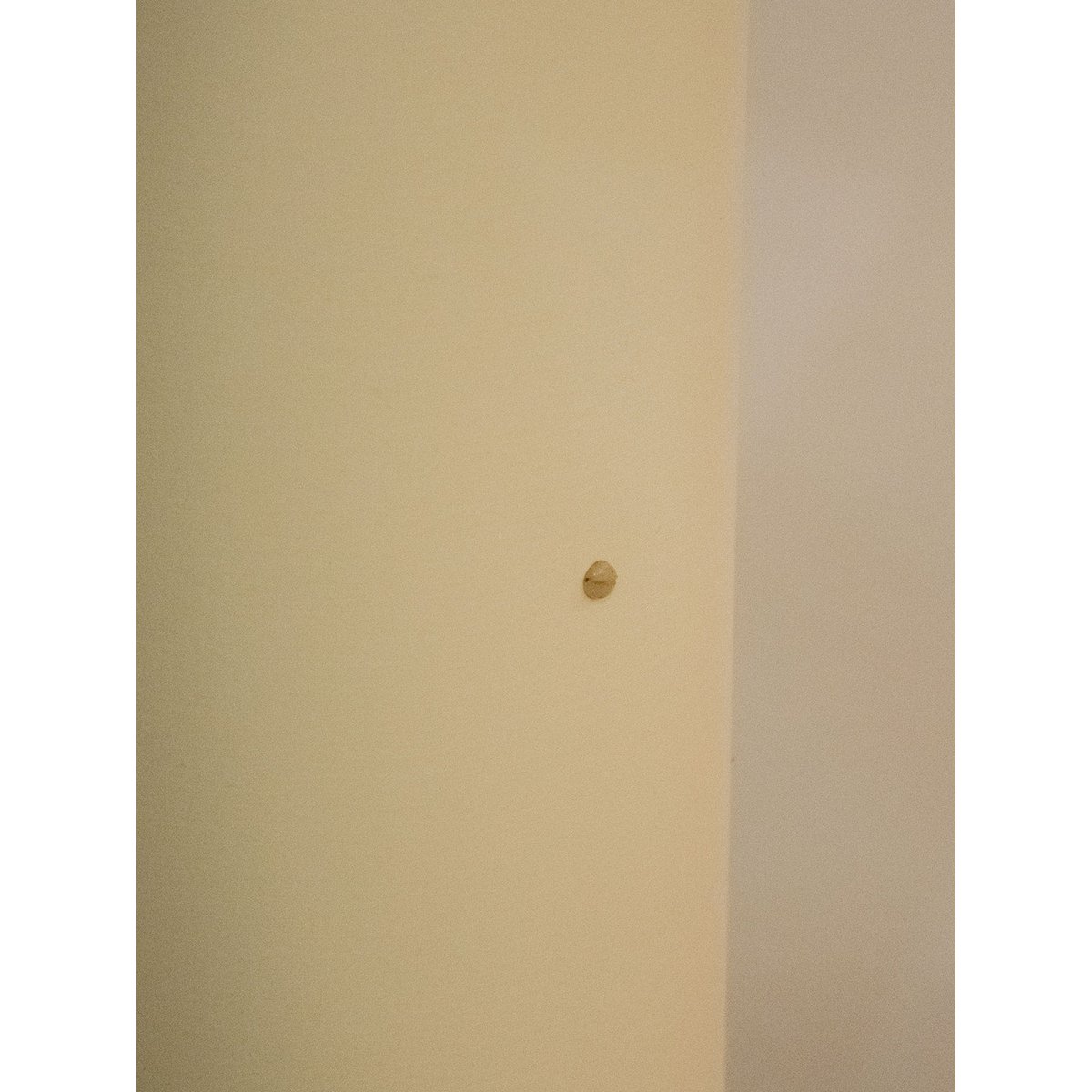 Lampadaire fin en rotin Julien N°149 - Bon état blanc, DEBONGOUT