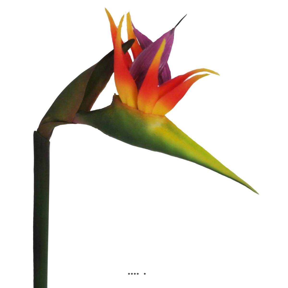 Strelitzia Arabica artificiel H 62 cm oiseau v002239, ARTIFICIELLES