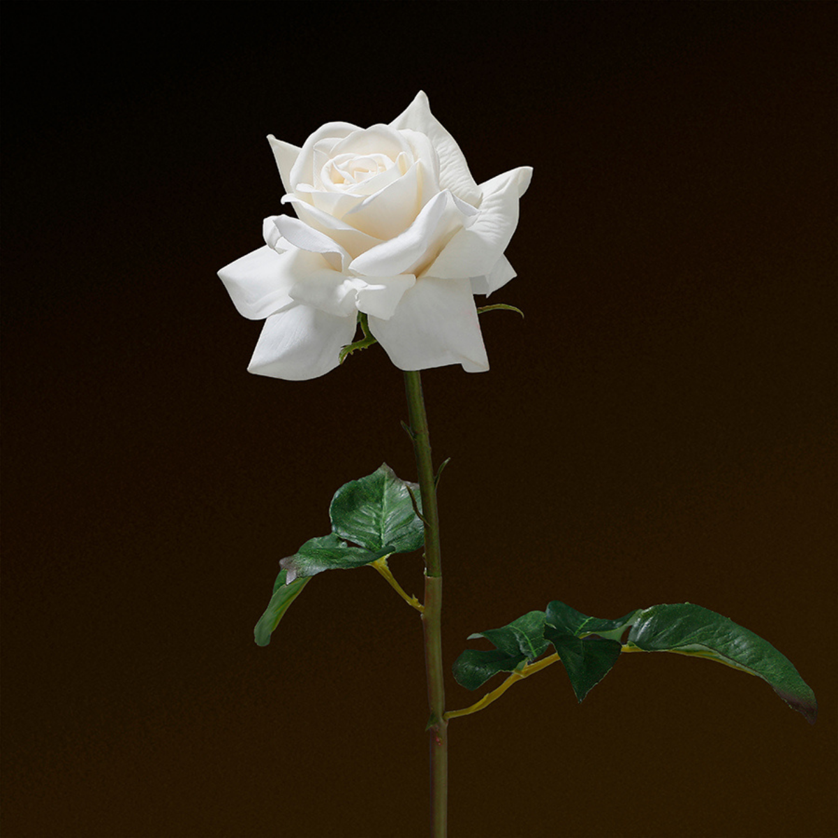 Tige de rose ouverte avec feuilles artificielle H50 PREMIUM blanc, SIA DECO