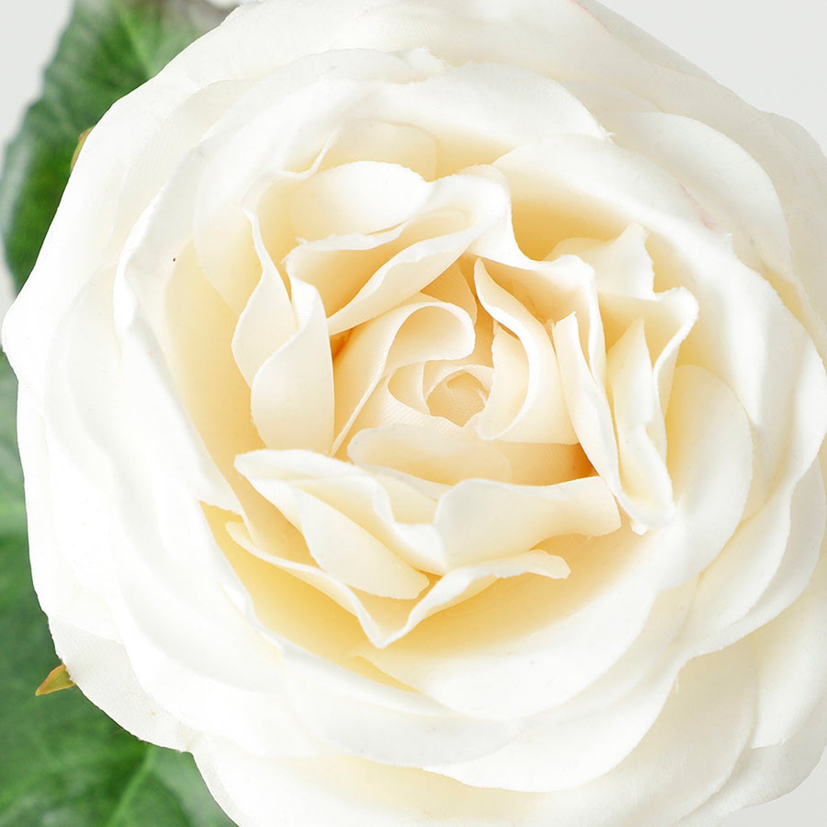 Tige de rose ouverte avec bourgeons artificielle H55 PREMIUM blanc, SIA DECO