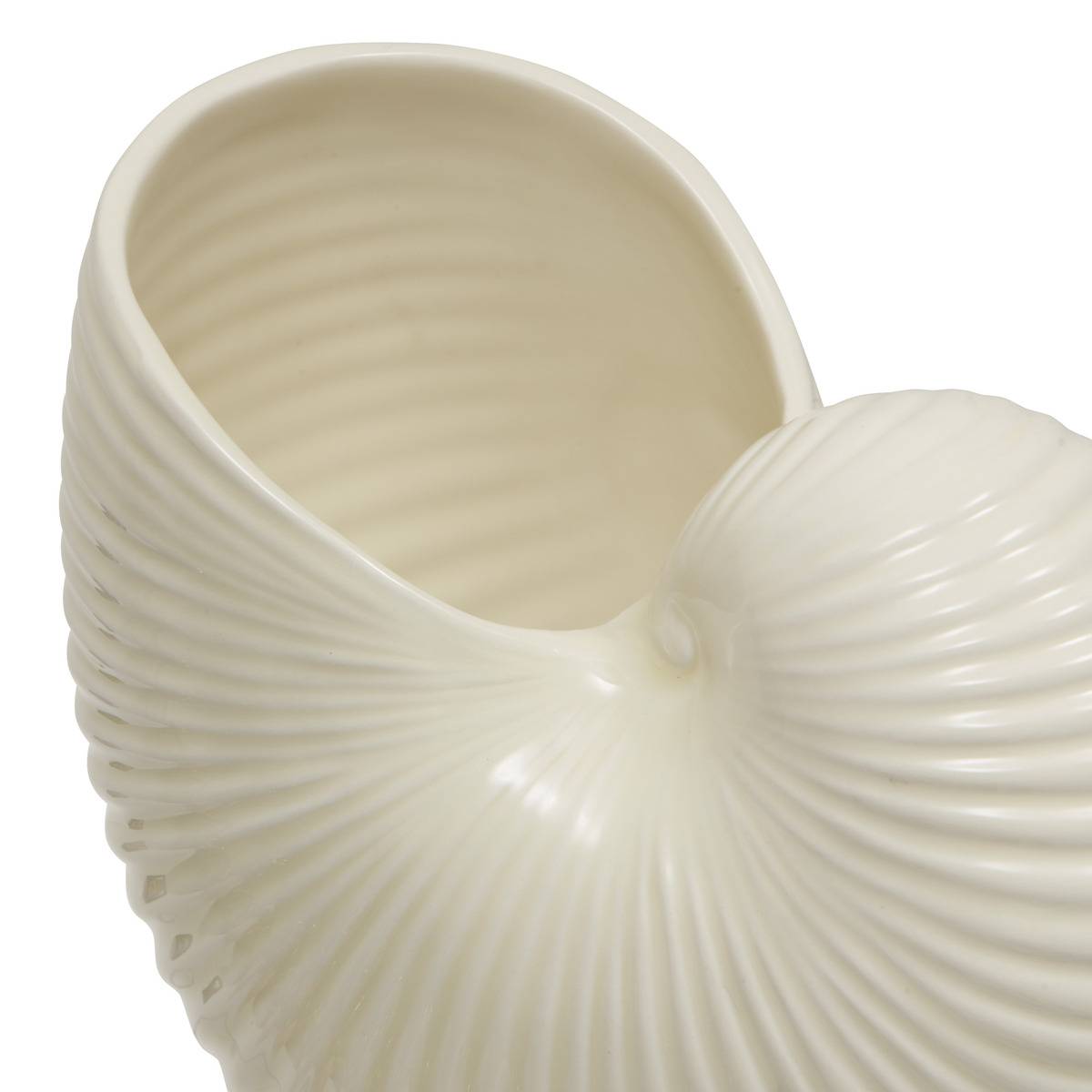 Vase coquillage nautile en dolomite OCEA blanc, ATMOSPHERA
