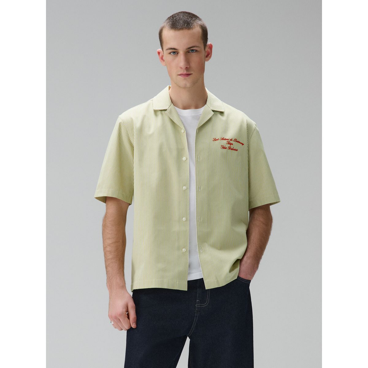Chemise brodée à manches courtes et rayures vert, NEXT