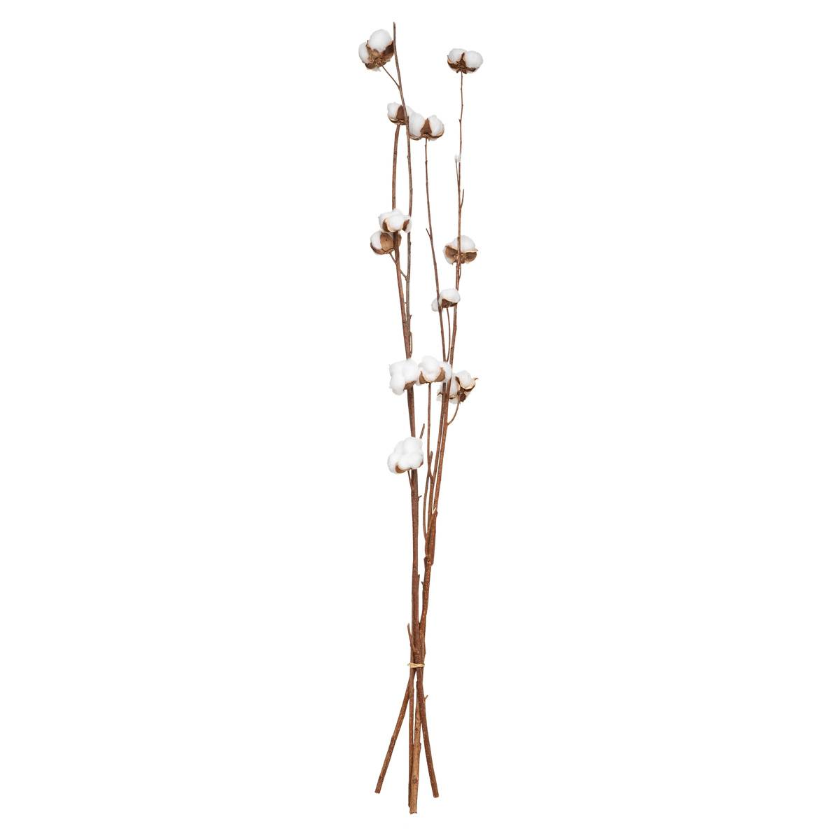 Fleurs séchées naturelles KANI multicolore, ATMOSPHERA