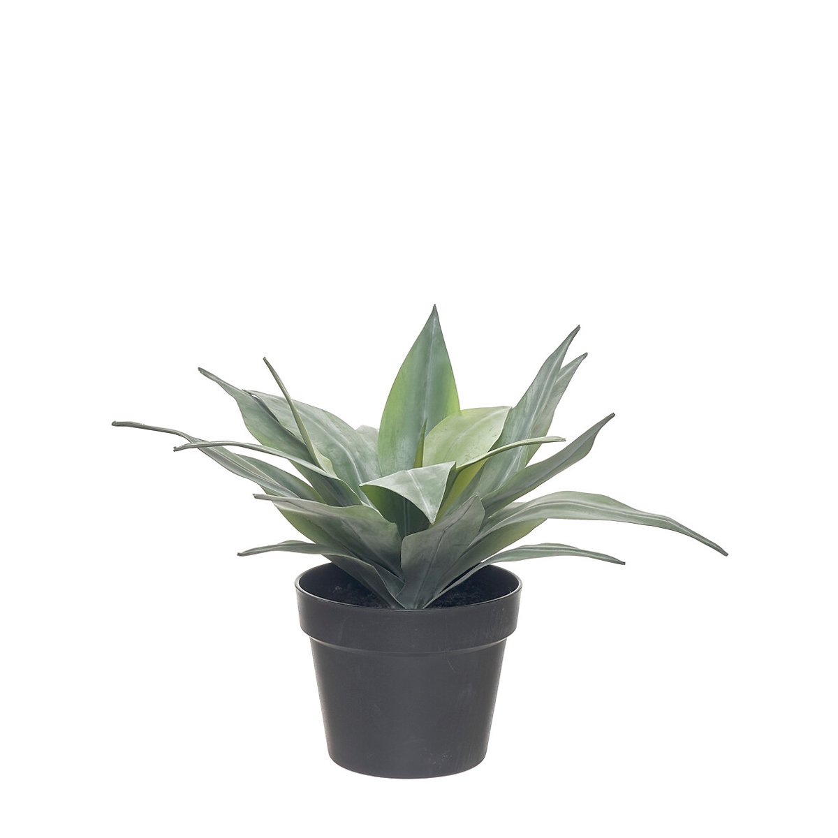 Planta artificial "Agave" 36cm, BORGHESI verde, BORGHESI
