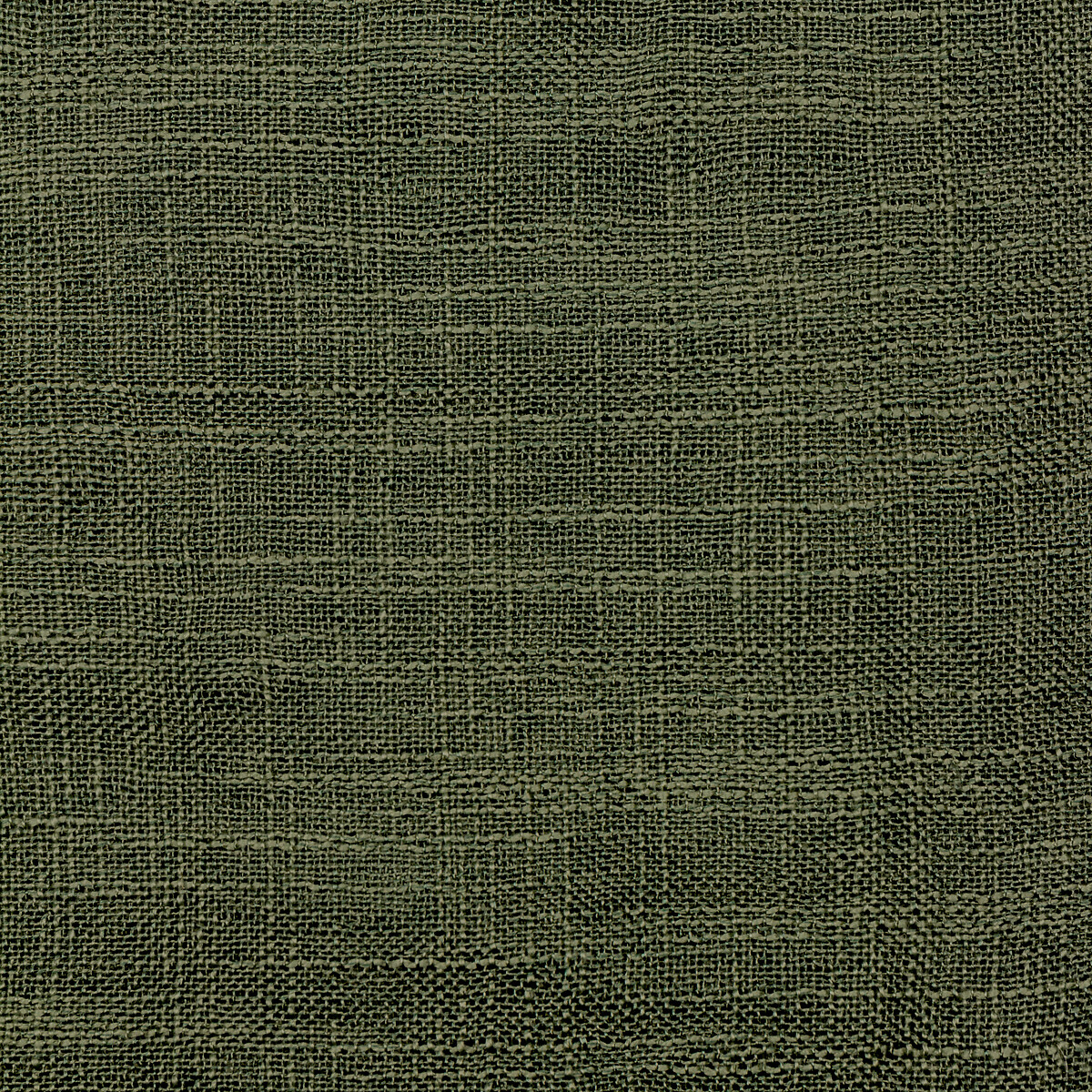 Cirrus Sheer Tab Top Curtain Panel forest green, YARD