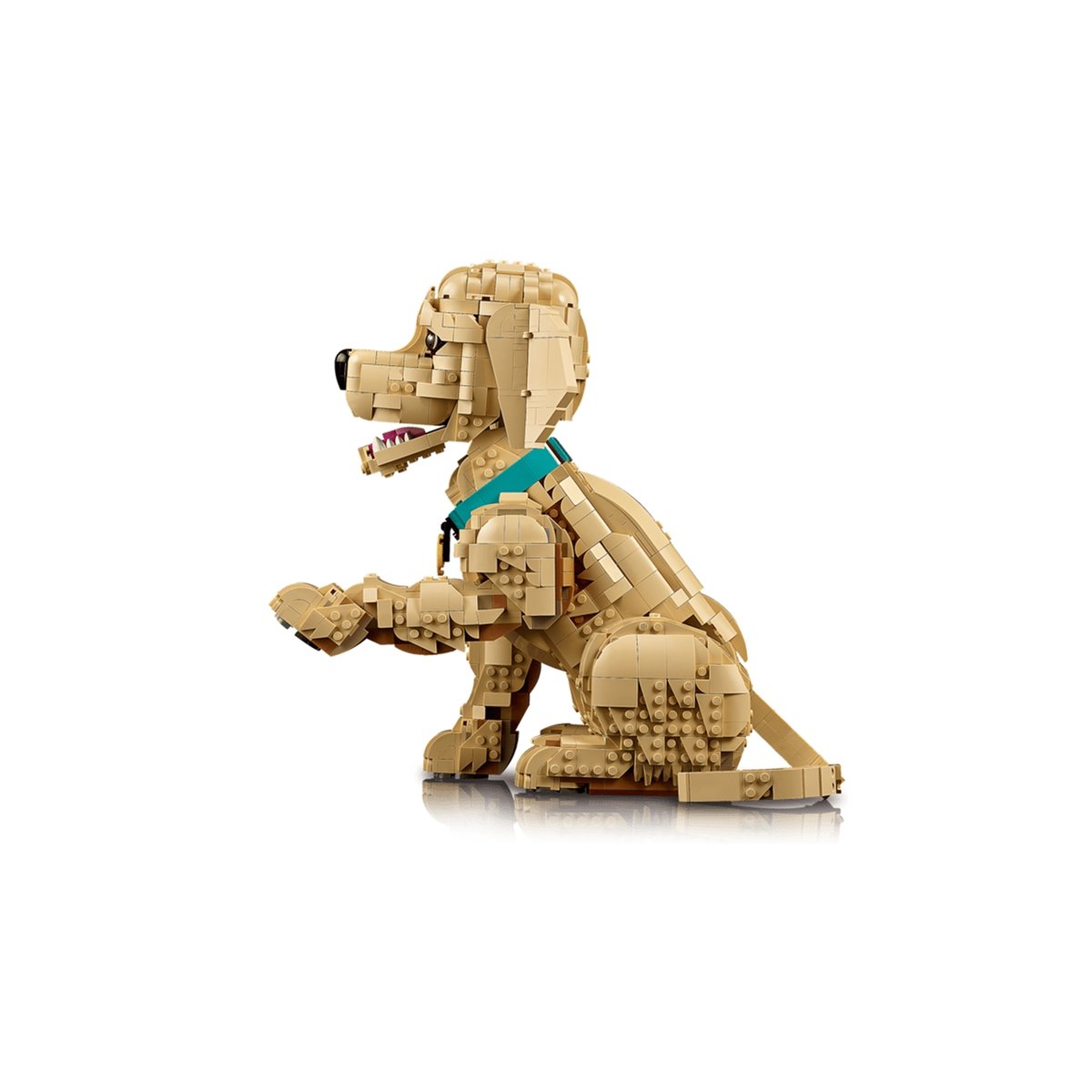 LEGO Icons - Le chiot Golden Retriever - 11384 beige, LEGO