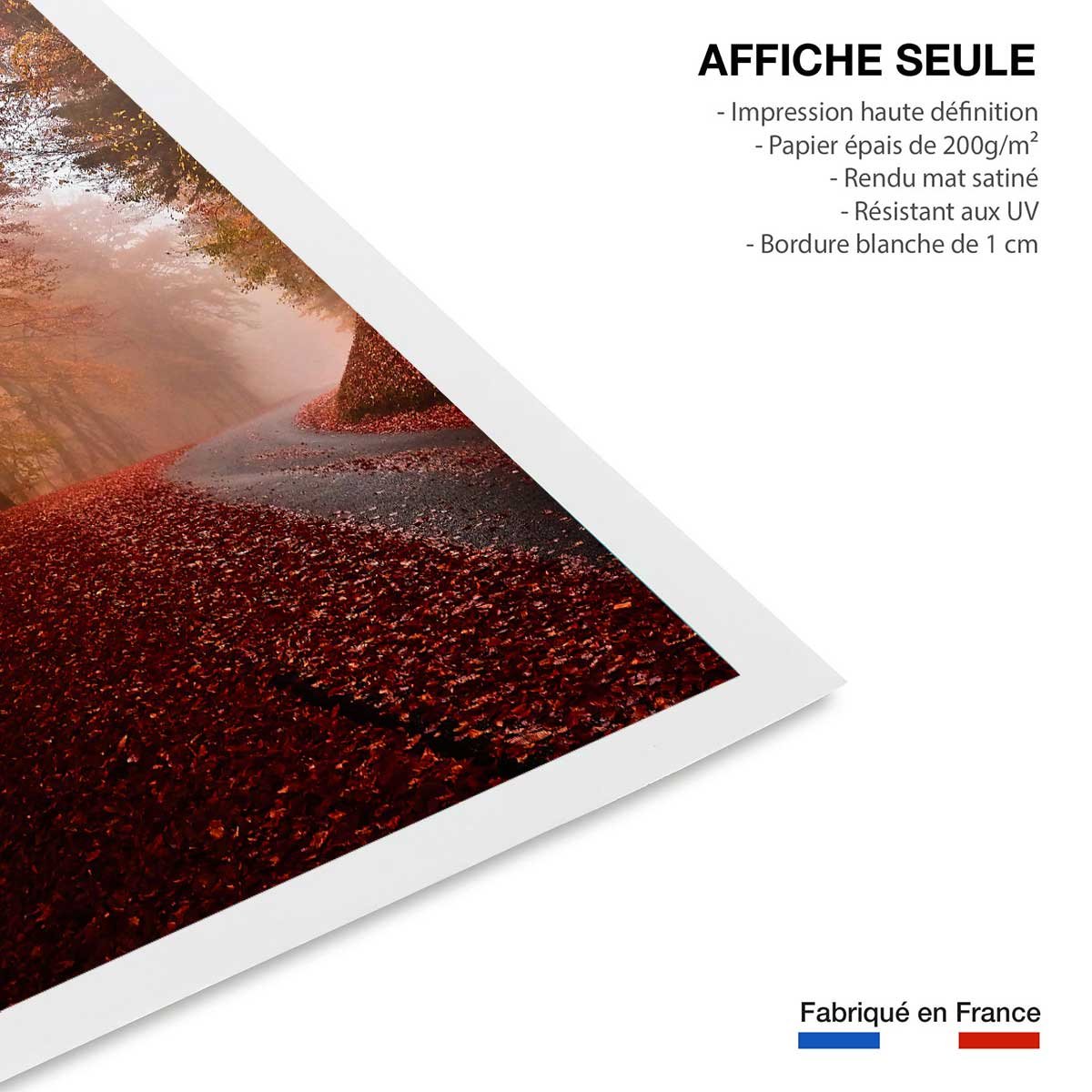 Affiche nature explosion automnale affiche seule, HEXOA