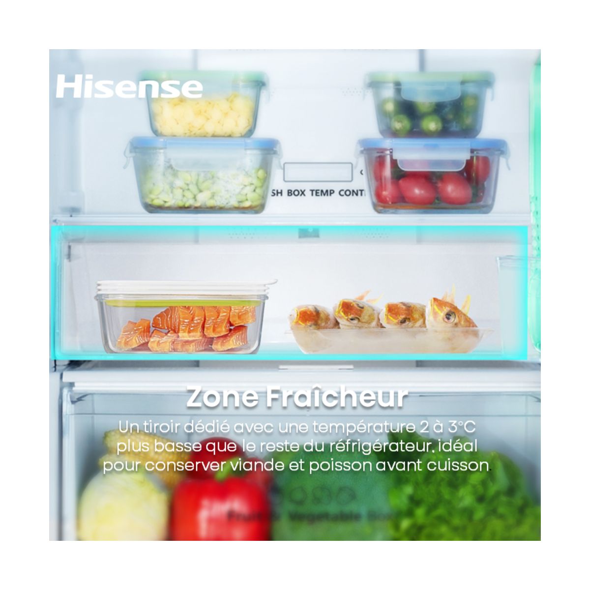 Réfrigérateur combiné RB3N300NECA couleur unique, HISENSE