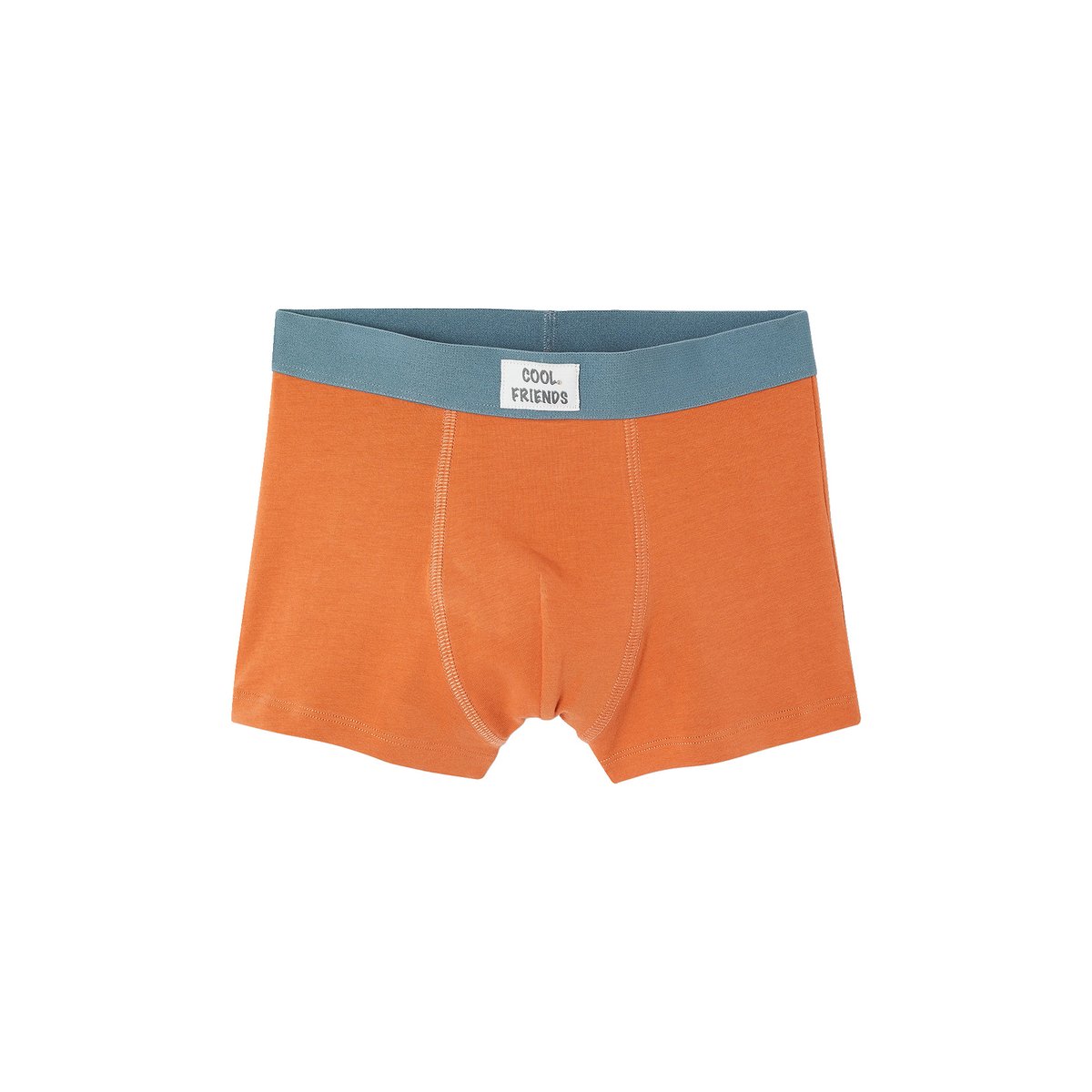 Lot de 5 boxers beige, VERTBAUDET