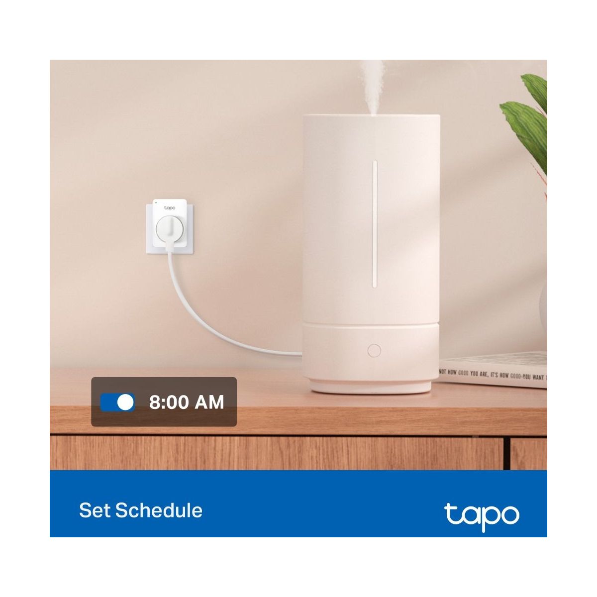 Prise connectée Pack de 2xTP11 wifi couleur unique, TP-LINK