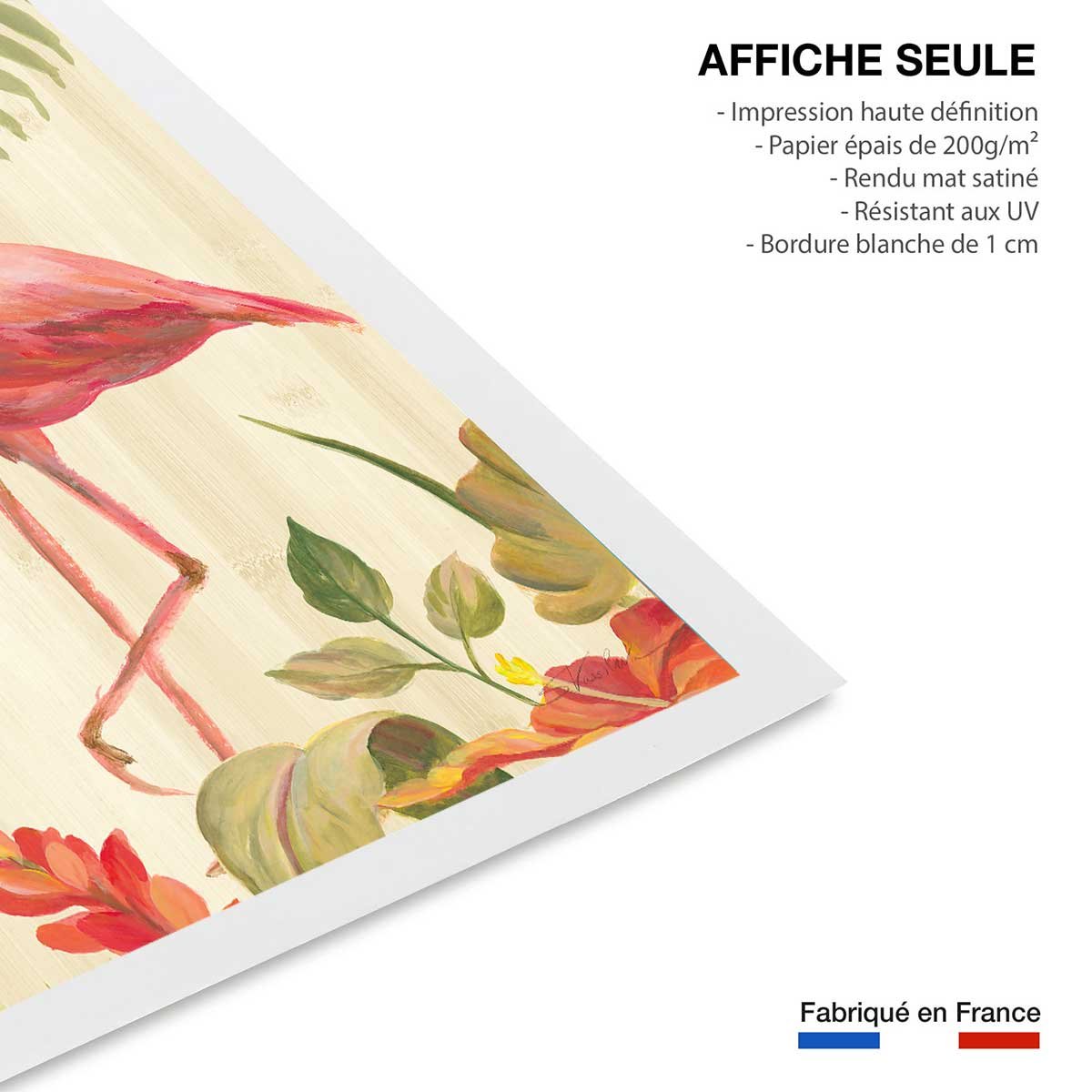 Poster Flamant rose tropical affiche seule, HEXOA