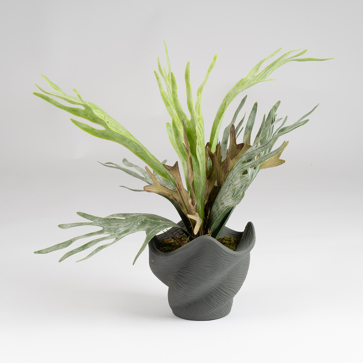 53cm Artificial Sea Greens in Cement Shell Pot green, SO'HOME