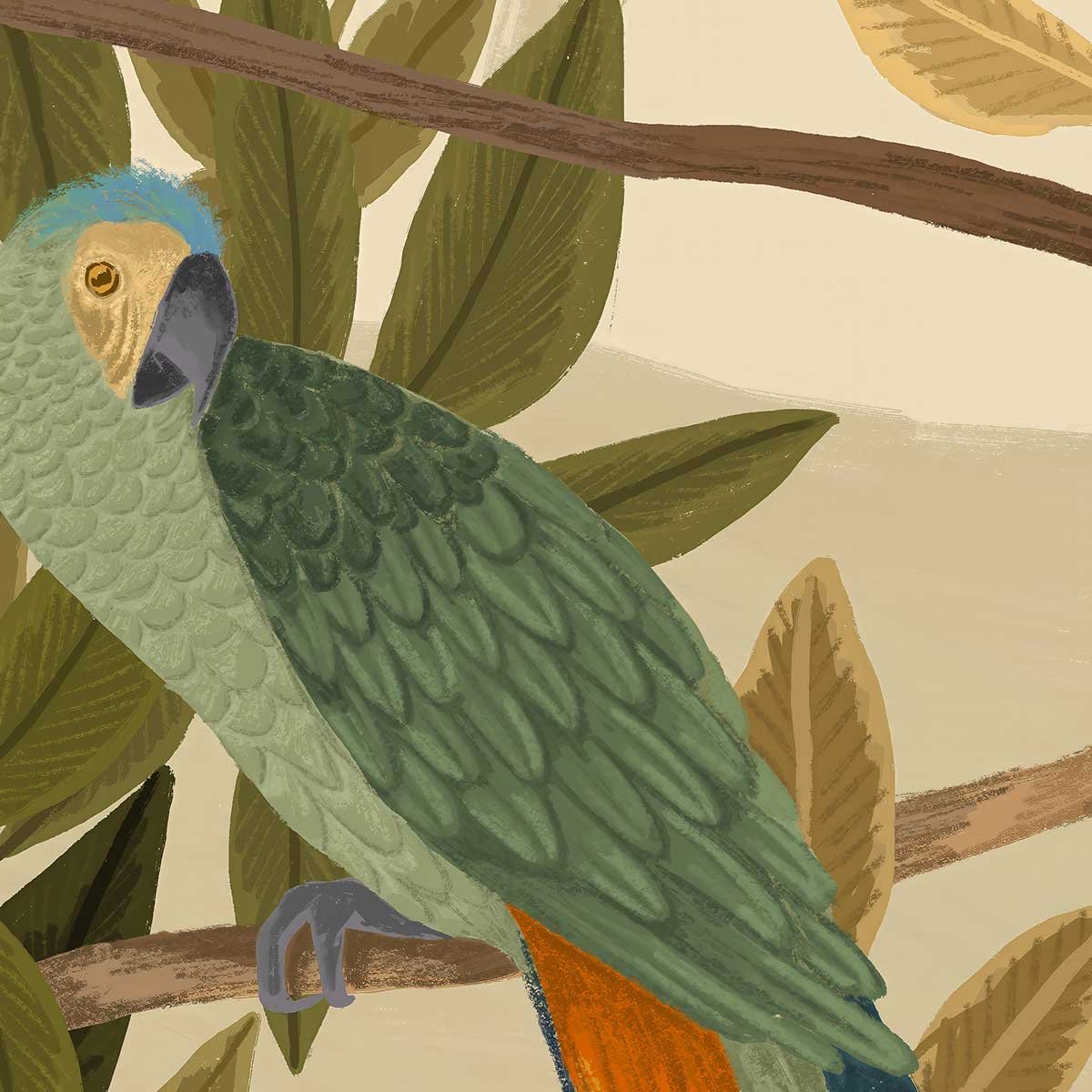 Papier peint chants tropicaux intissé, HEXOA