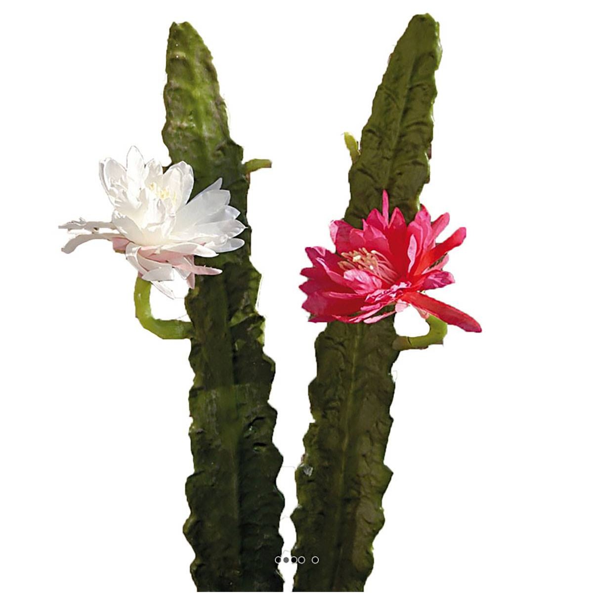 Joli cactus cierge artificiel en piquet H 52 crème, ARTIFICIELLES