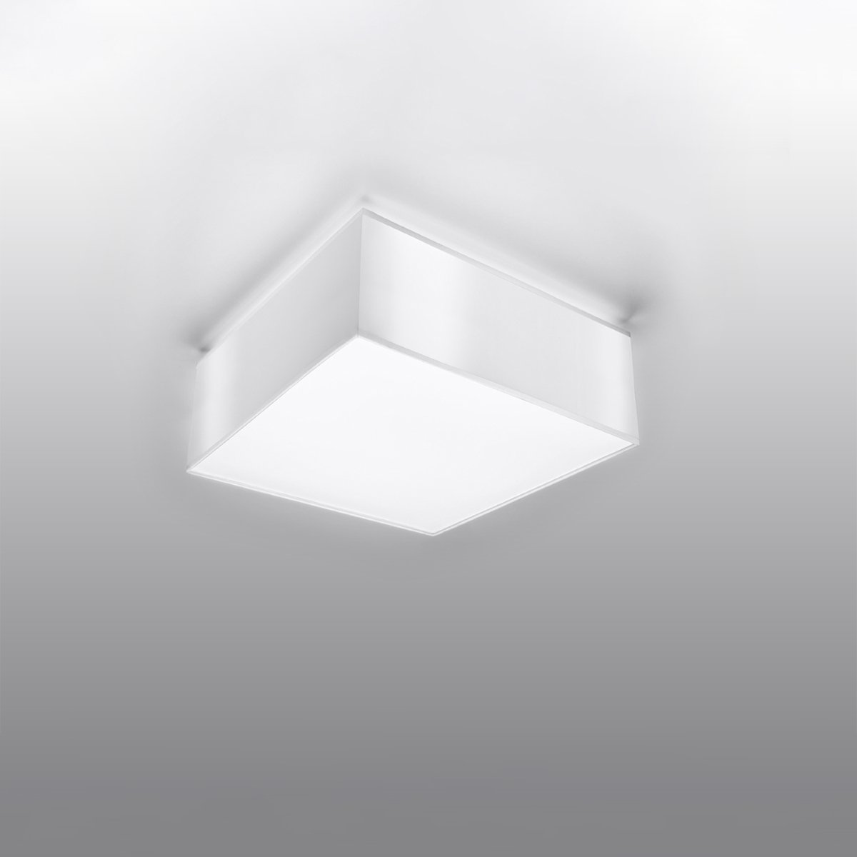Plafonnier PVC Blanc E27 1 Horus blanc, EDEN
