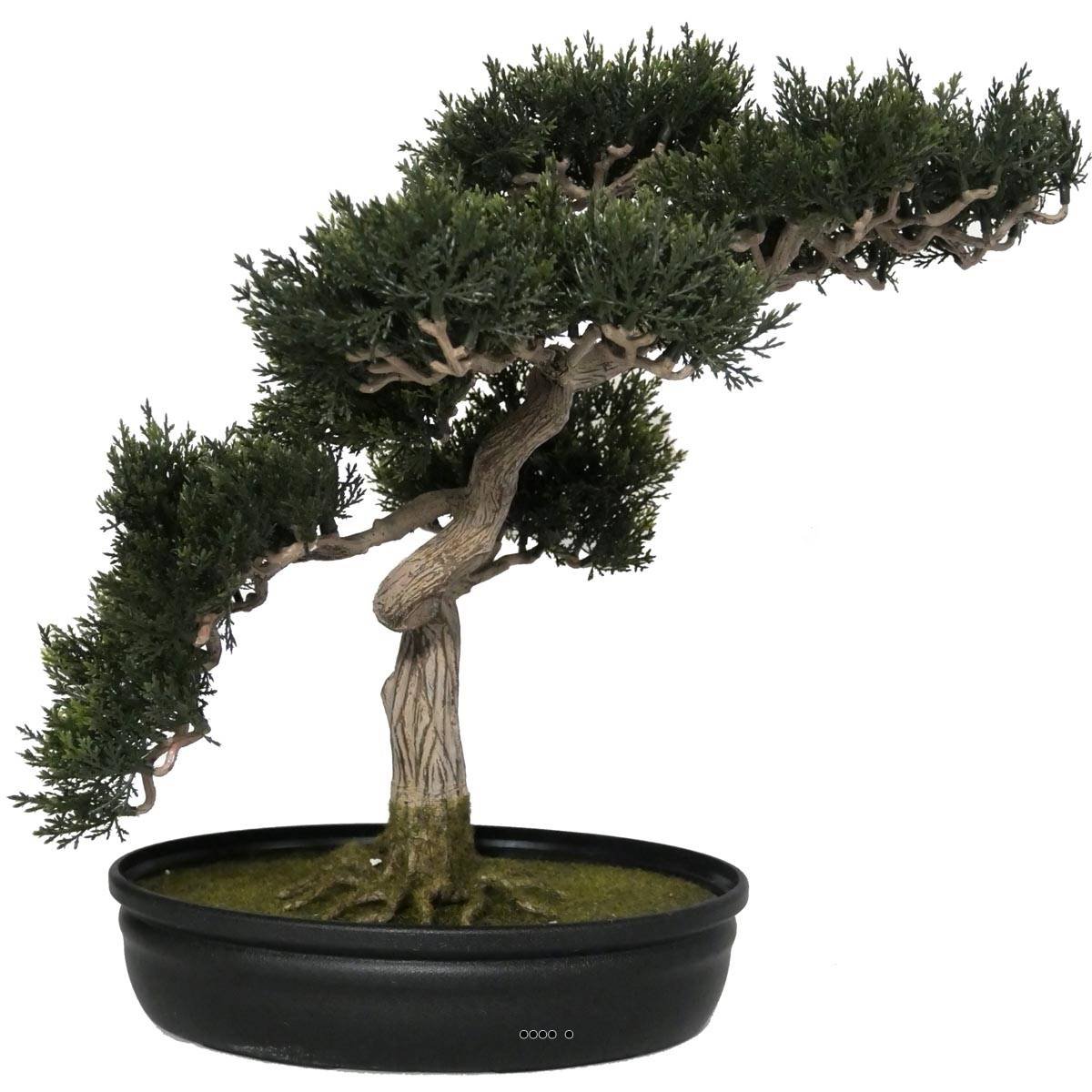 Bonsai artificiel Cedre H 43 X 40 CM vert, ARTIFICIELLES